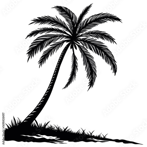 a-stark-black-silhouette-of-a-single-palm-tree-aga  vector design .eps