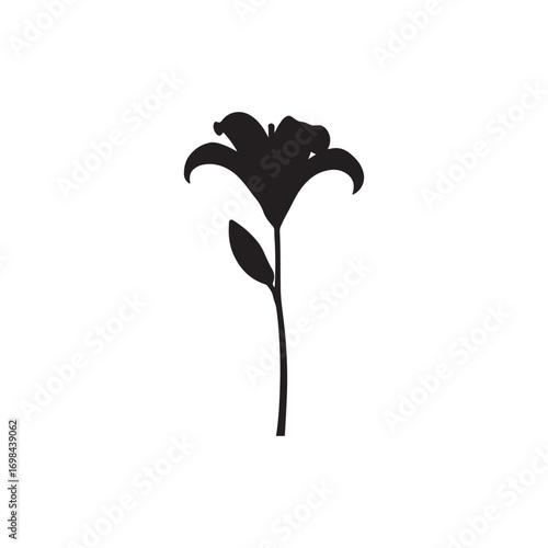 Lily Vector (5).eps
