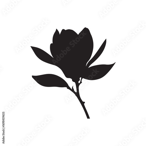 Magnolia Vector (5).eps
