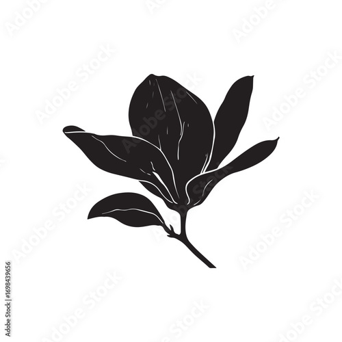 Magnolia Vector (6).eps