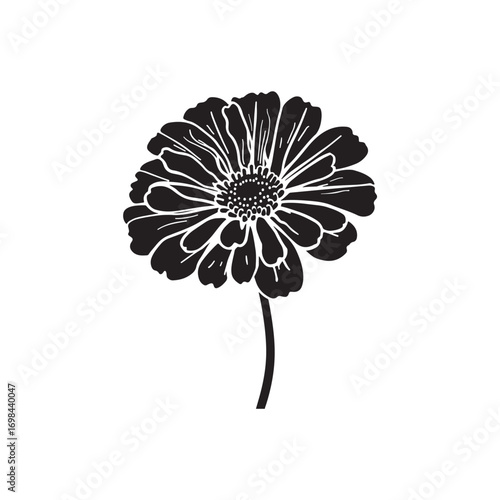 Marigold Vector (8).eps