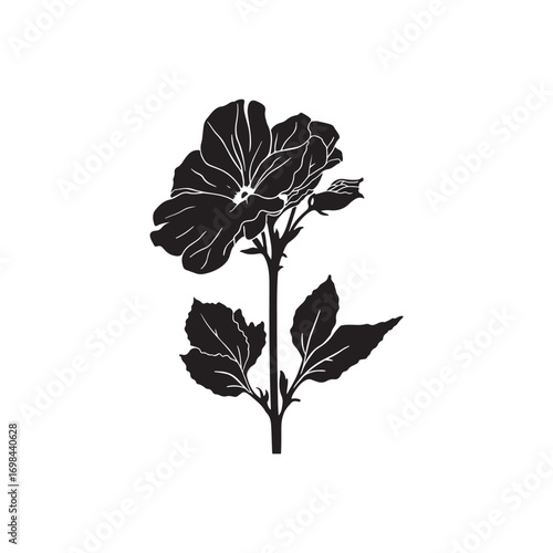 Pansy Vector (7).eps