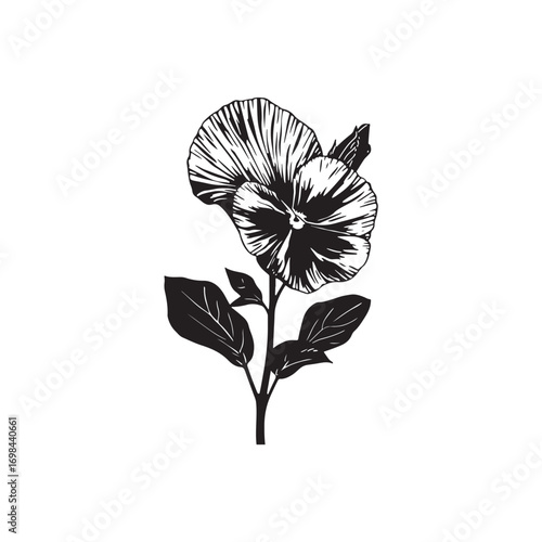 Pansy Vector (8).eps