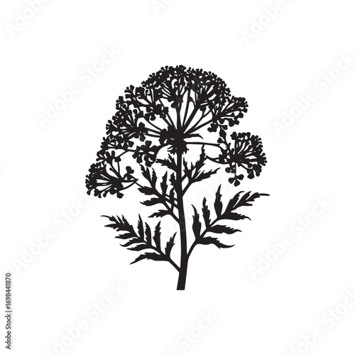 Yarrow Vector (5).eps