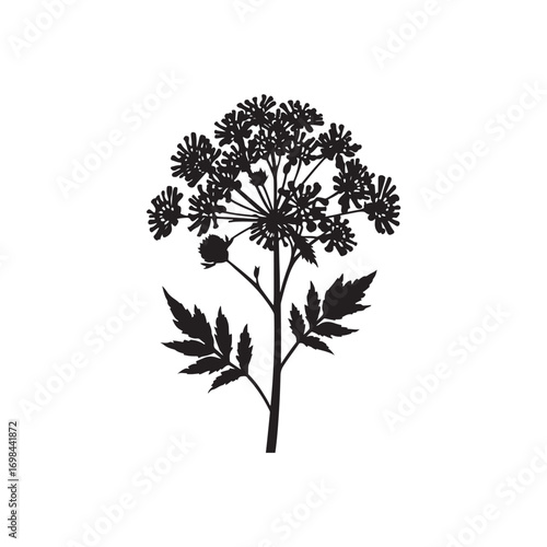 Yarrow Vector (6).eps