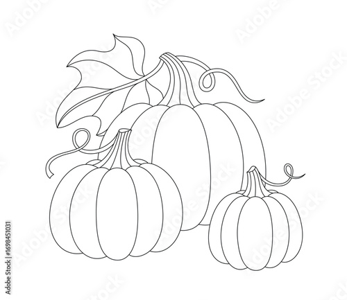 Pumpkins with twigs and leaves coloring page. Autumn seasonal vector contour illustration of harvest. Fall floral hand drawn doodle for coloring book
