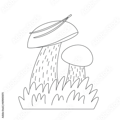 Coloring page with mushrooms. Vector linear illustration of boletus fungi. Black and white line art coloring book page