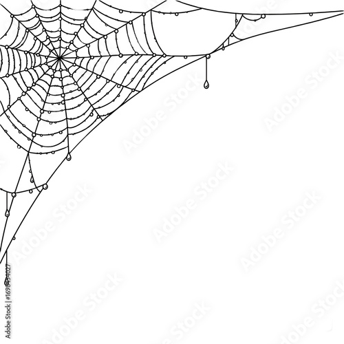 spider web fram