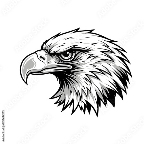 eagle head vector