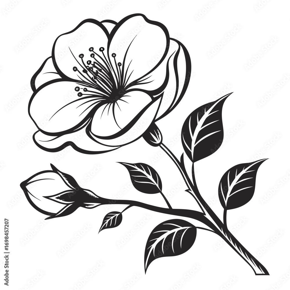 Obraz premium Elegant black and white line art illustration of a blooming flower and bud on a branch with leaves