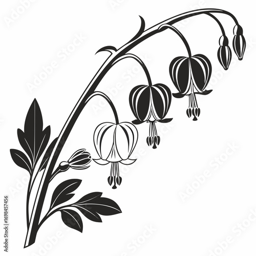 Black and white illustration of a bleeding heart flower branch with buds and leaves