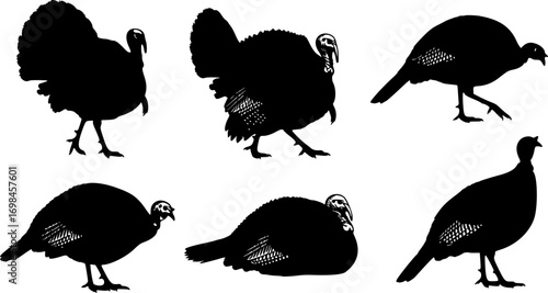 Set of Turkey Silhouettes – Farm Animal Vector Collection, Poultry Icons, Thanksgiving and Harvest Festival Design Elements