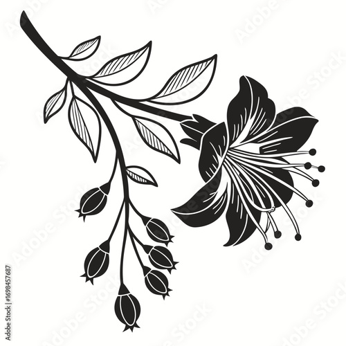 Black and white silhouette of a blooming flower with buds and leaves