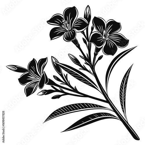 Black and white illustration of a blooming oleander branch with leaves and buds
