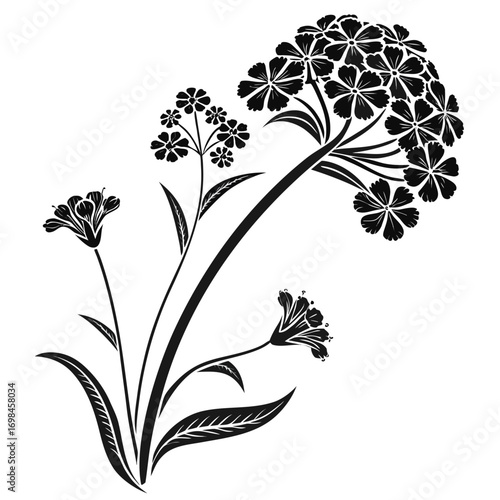 Black silhouette of a flowering plant with delicate blooms and leaves