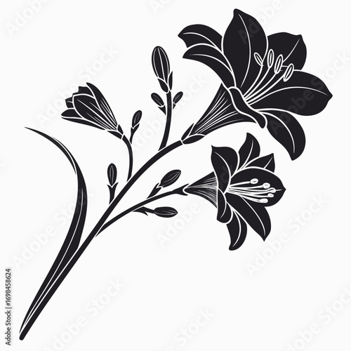 Black and white silhouette of a freesia flower branch with buds
