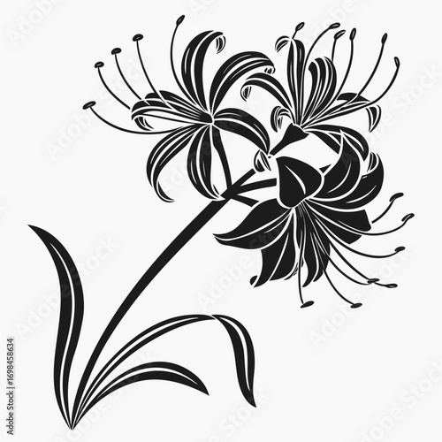 Black and white silhouette of a cluster of spider lilies with leaves