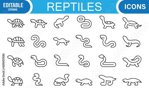 Wildlife reptile outline icon set featuring iguana, tortoise, snake, and gecko vector illustrations