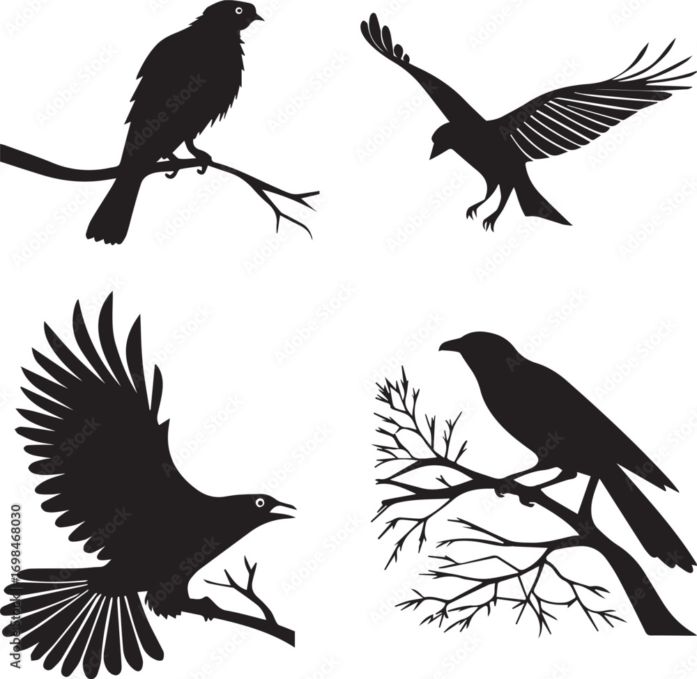 Obraz premium A set of four bird silhouettes perched on tree branches.