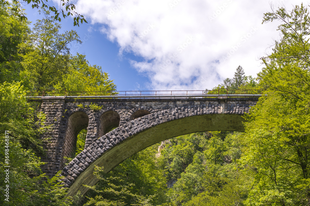 Fototapeta premium arched stone railway bridge surrounded by lush greenery. old stone arch bridge, vibrant greenery, bright blue sky. Vingar Bridge, Vintgar