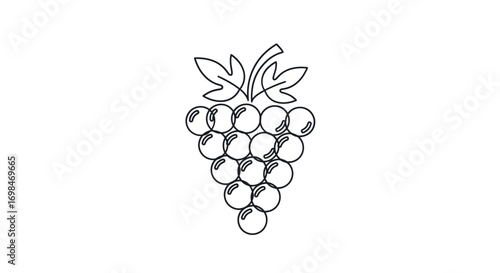 Simple Grape Cluster Outline with Leaves Illustration.