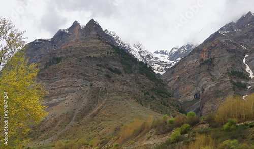 scenic view of alpine forest and snowcapped himalaya mountain range from tandi, beautiful mountain village  in lahaul valley, himachal pradesh, india