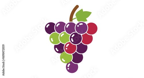 A vibrant bunch of assorted grapes with a single green leaf.