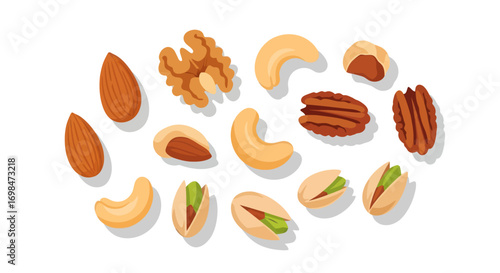 Illustrated collection of mixed nuts featuring almonds, walnuts, cashews, pecans, and pistachios.