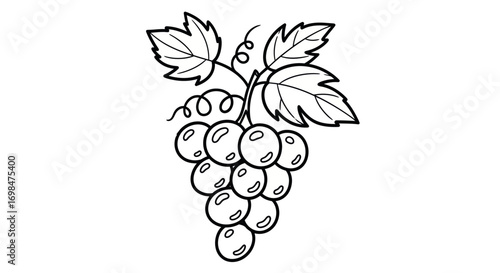 Simple black and white line art illustration of a bunch of grapes with leaves and a tendril.