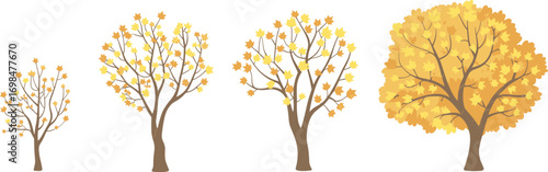 Autumn maple tree silhouette collection, beautiful fall seasonal changes, perfect for nature, seasonal, and landscape designs.