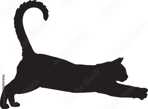 cat mid-pounce