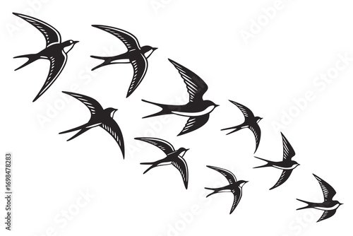 Black and white vector illustration of a flock of seven swallows in flight bird flying