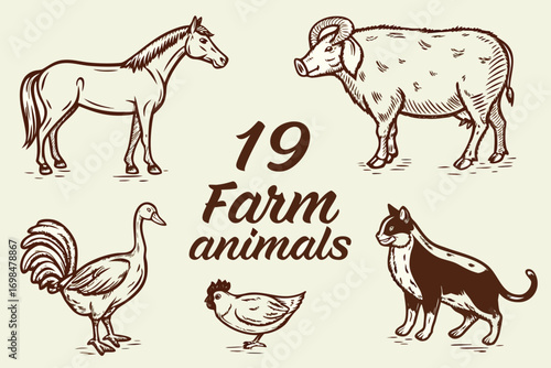 Hand drawn collection of farm animals horse ram rooster hen duck and cat in vintage style vector