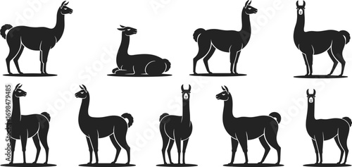 Llama silhouette collection, various llama poses, vector icons perfect for farm, animal, South American, and cute design projects.