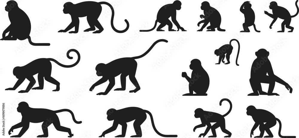 Tableau sur toile Monkey and ape silhouette collection, vector icons of various poses and activities, perfect for zoo, jungle, and nature designs
