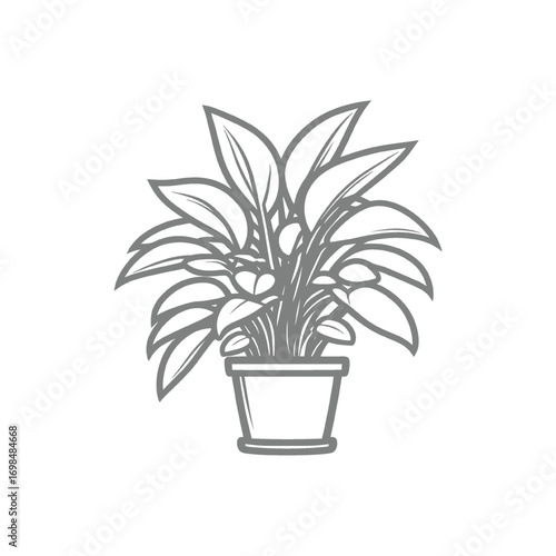 Potted Plant Design Illustration