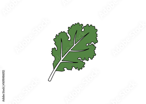 icon of kale leaf