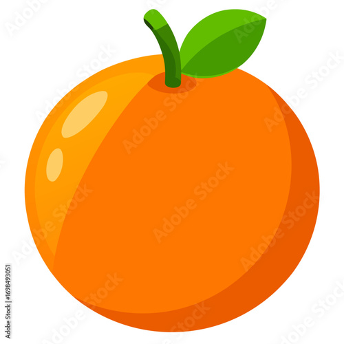 orange fruit vector illustration