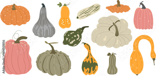 Pumpkin set.Autumn illustration of different pumpkins and squashes. Seasonal pumpkin collection for decor, Thanksgiving, farm design.
