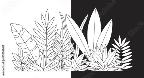 Monochromatic illustration of lush tropical foliage in a striking split black and white design.
