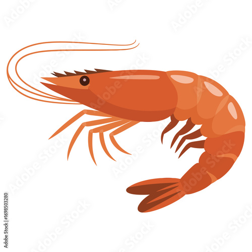shrimp on white background