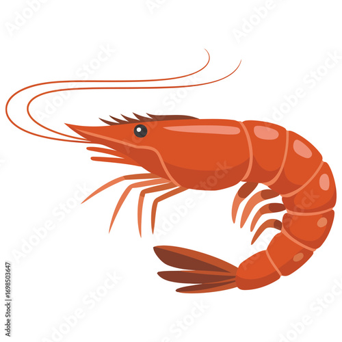 shrimp on white background
