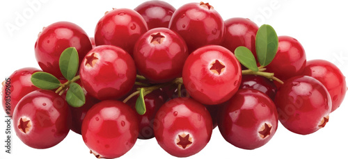 Cranberries Isolated on transparent background