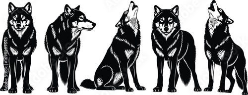 Detailed black and white wolf illustrations, various poses including standing, sitting, and howling, wild animal vector art, realistic nature wildlife design elements