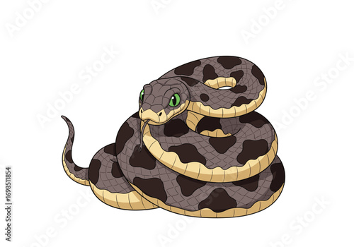 A coiled rattlesnake ready to strike in its natural habitat