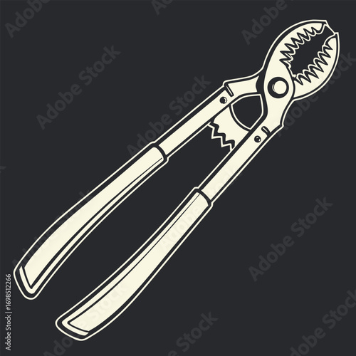 a detailed illustration of vintage metal nutcracker tool