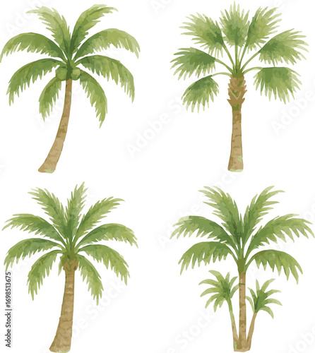Collection of watercolor illustrated adroable palms