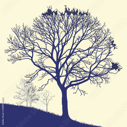a lone tree stands tall with bare branches against pale sky