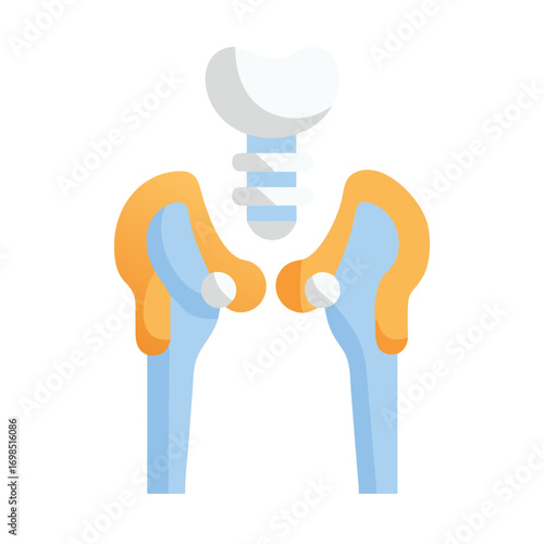 Pelvic bone structure diagram in a flat graphic style