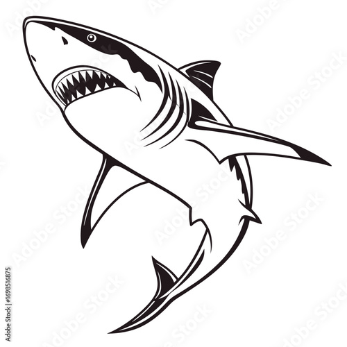 Aggressive shark illustration with open mouth and sharp teeth